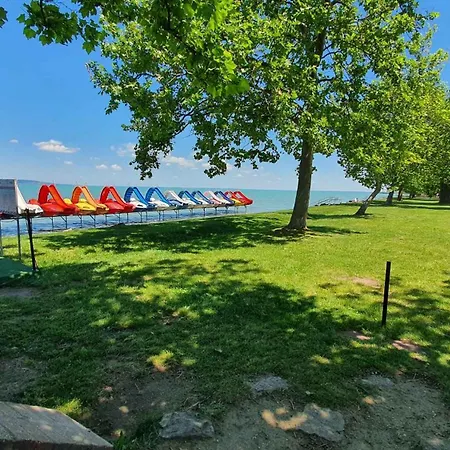 Waterfront In Zamardi-balaton 55033
